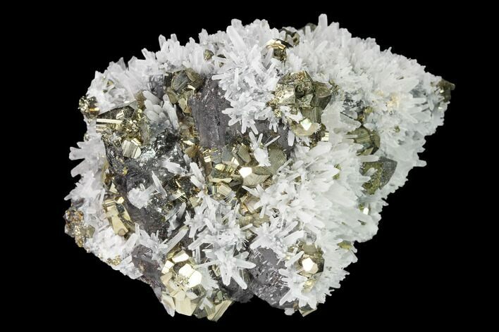 Chalcopyrite, Pyrite, Sphalerite and Quartz Association - Peru #142655
